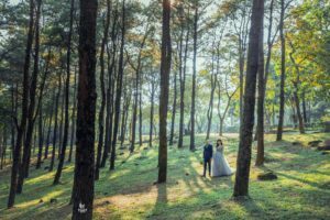 ALBUM CHỤP TẠI ĐẠI LẢI 5