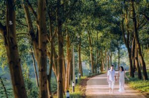 ALBUM CHỤP TẠI ĐẠI LẢI 8