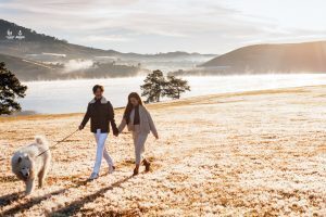 Album ngoại cảnh chụp tại Đà Lạt
