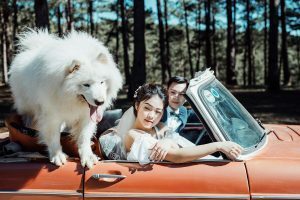 Album ảnh cưới tại Đà Lạt