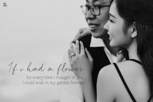 Album ngoại cảnh Đà Nẵng