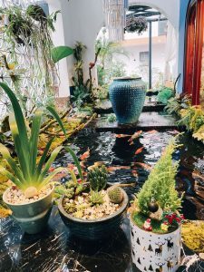 quán cafe cá koi đẹp