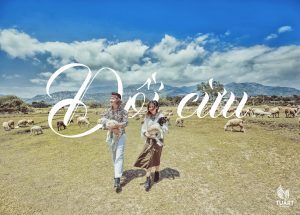chụp ảnh cưới đẹp ở đồi cừu