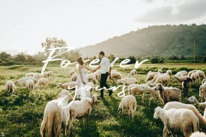 ảnh cưới đẹp Ninh Thuận
