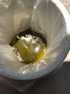 thải độc đại tràng
