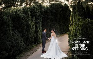 Album ảnh cưới đẹ tại Hà Nội : Smiley Ville