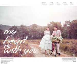 Album ảnh cưới đẹp tại Hải Dương : Rừng thông