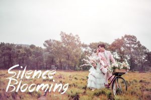 Album ảnh cưới đẹp tại Hải Dương : Rừng thông