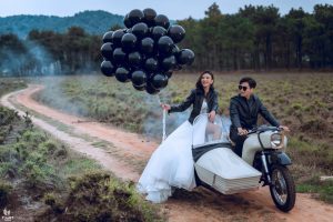 Album ảnh cưới đẹp tại Hải Dương : Rừng thông