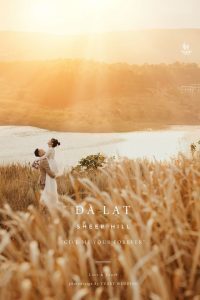 Album ảnh cưới đẹp tại Đà Lạt
