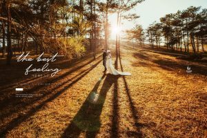 Album ảnh cưới đẹp tại Đà Lạt