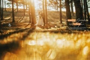ALBUM ẢNH CƯỚI ĐẸP TẠI ĐÀ LẠT