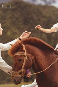Album chụp ảnh cưới đẹp tại Sapa - Lào Cai
