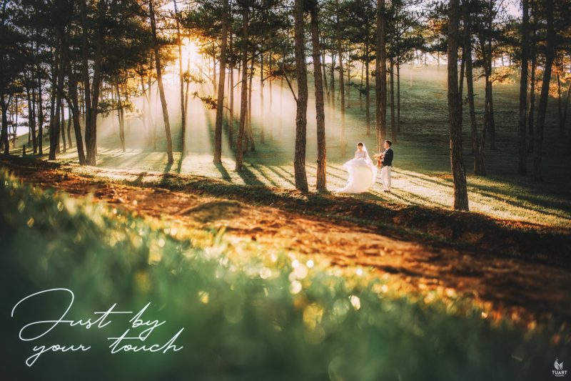Studio chụp ảnh cưới đẹp nhất Đà Lạt 2023- 2024