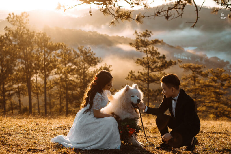 Top Wedding Store in VietNam